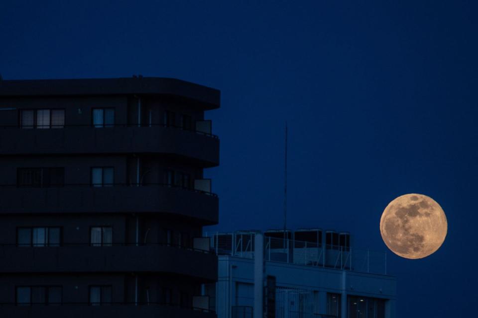 japan astronomy