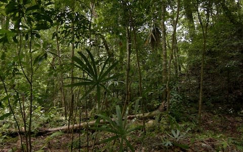 maya people - Credit: Wild Blue Media/Channel 4