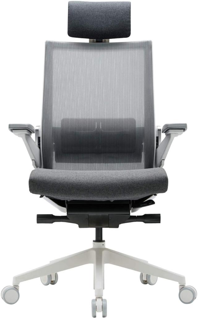 Dual-backrests] Duorest Alpha - Ergonomic Office Chair, Home