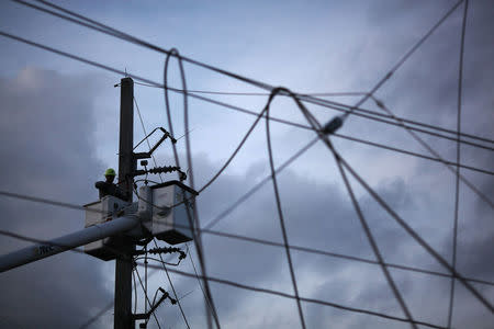 A worker of Puerto Rico's Electric Power Authority (PREPA) repairs part of the electrical grid after Hurricane Maria hit the area in September, in Manati, Puerto Rico October 30, 2017. REUTERS/Alvin Baez