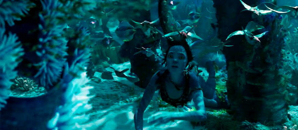 Avatar : la voie de l'eau, de James Cameron.  - Credit:WALT DISNEY STUDIOS MOTION PICTU / Collection ChristopheL via AFP