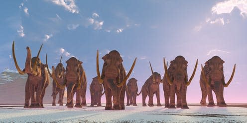   <span class="attribution"><a class="link " href="https://www.shutterstock.com/image-illustration/columbian-mammoth-herd-winter-sets-mammoths-236426374?src=76c64e75-dbdd-410a-a46b-e16875e89596-1-3" rel="nofollow noopener" target="_blank" data-ylk="slk:Catmando/Shutterstock;elm:context_link;itc:0;sec:content-canvas">Catmando/Shutterstock</a></span>