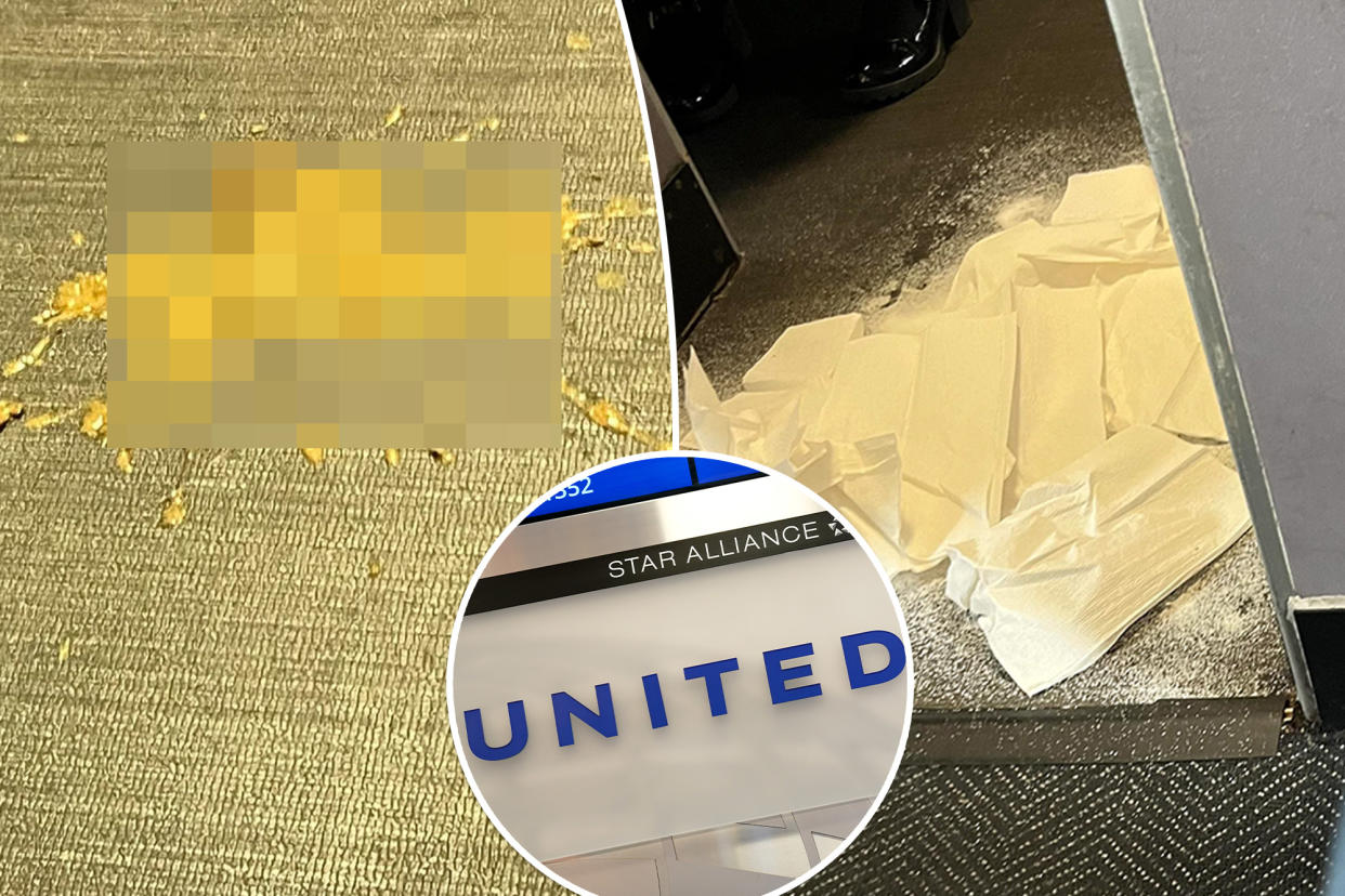 A United Airlines flight bound for Seattle had to divert to Dallas on Friday — a Redditor blamed dog poop for the change in plans.