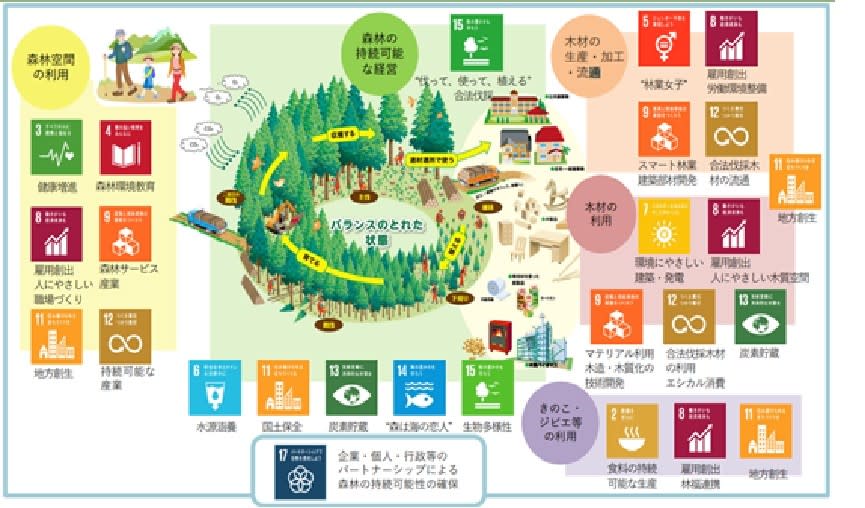 日本森林循環利用與SDGs關係圖 圖/取自日本林業廳