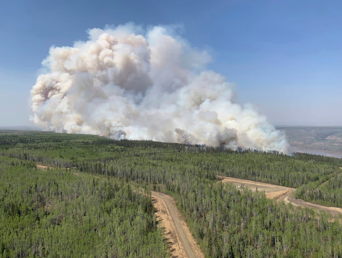 Wildfire burns a section of forest in the Grande Prairie district of Alberta, Canada on May 6 (Government of Alberta Fire Service)