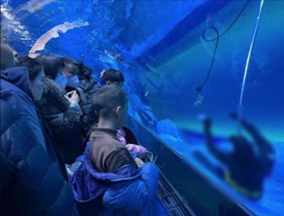 驚！潛水員沉水族館底死亡，遊客仍踴躍觀賞「以為是假人」。（翻自微博）