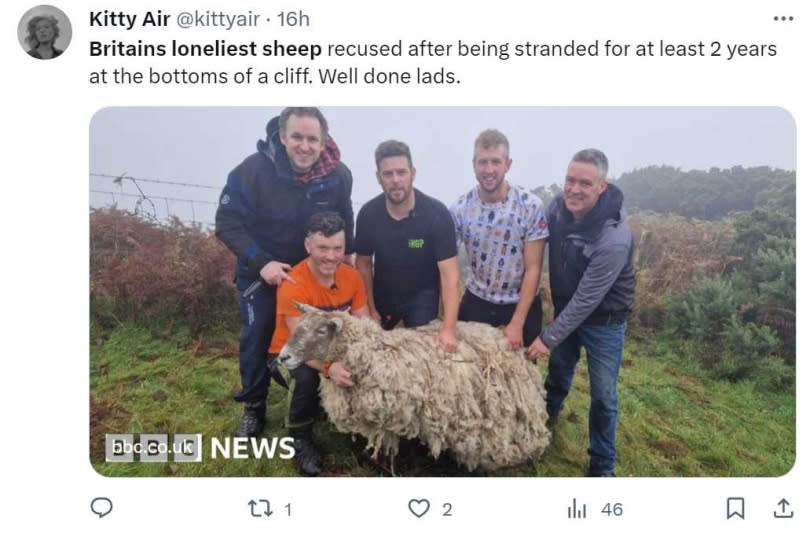 英國最寂寞羊咩咩被困崖邊石灘2年獲救。（圖／翻攝自推特）