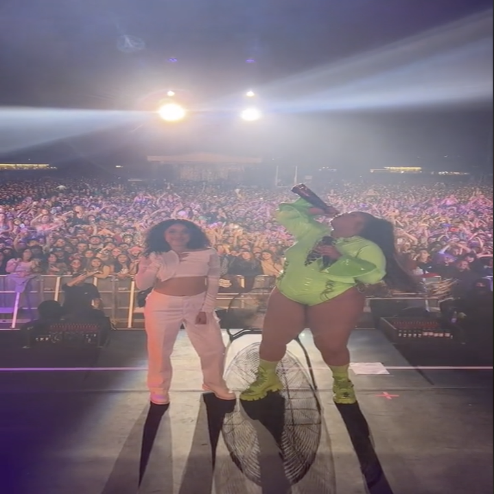   TikTok: @lizzo / Via tiktok.com