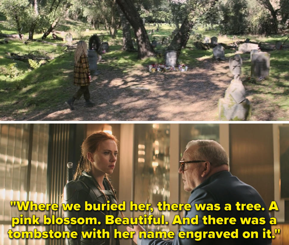 Natasha's grave vs. Dreykov saying, "Where we buried her, there was a tree. A pink blossom. Beautiful. And there was a tombstone with her name engraved on it"