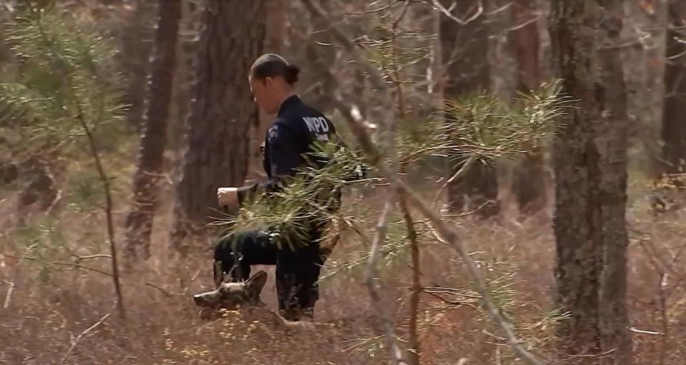 PHOTO: In this screen grab from video, investigators search a wooded area in Manorville, N.Y., on April 24, 2024, as part of the Gilgo Beach investigation. (WABC)