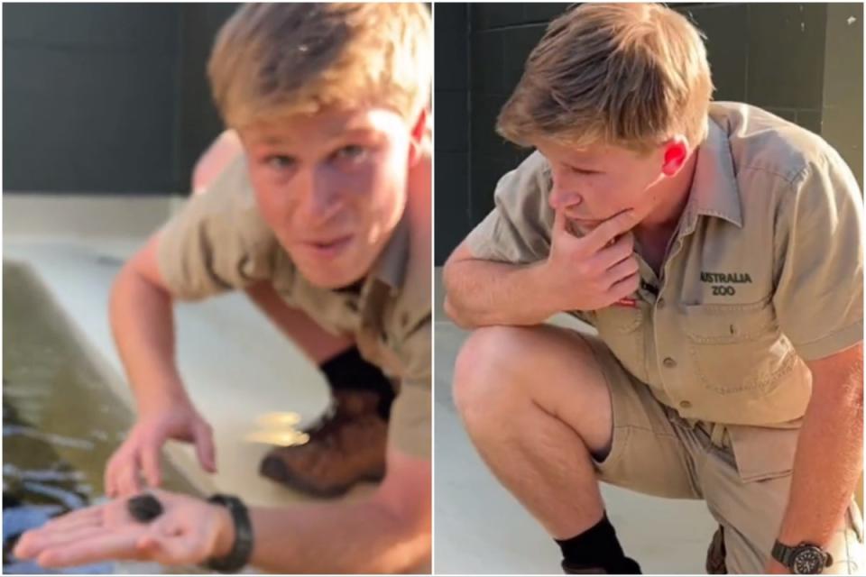 Robert Irwin and Irwin’s turtle (Instagram / Robert Irwin / screengrab)