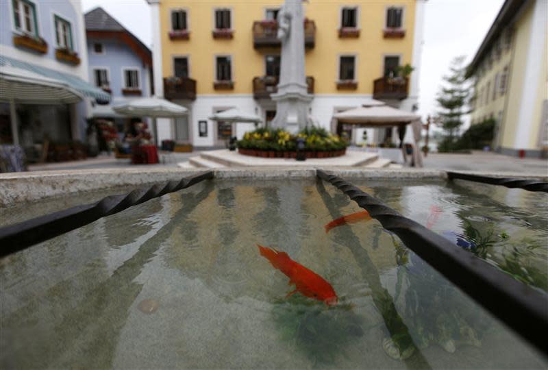 Goldfish are seen at the Chinese replica of Austria's UNESCO heritage site, Hallstatt village in China's southern city of Huizhou in Guangdong province