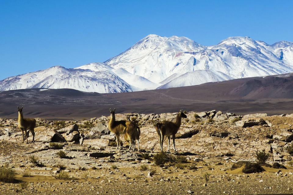 <p>A pesar de su extrema aridez, entre los meses de diciembre y marzo, época que se conoce como el invierno altiplánico, las corrientes de aire húmedo de los Andes propician que caiga algo de nieve. (Foto: Rubén Figueroa / EFE). </p>