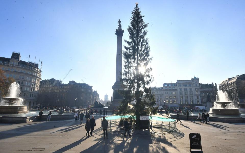 Trafalgar Square Christmas tree called 