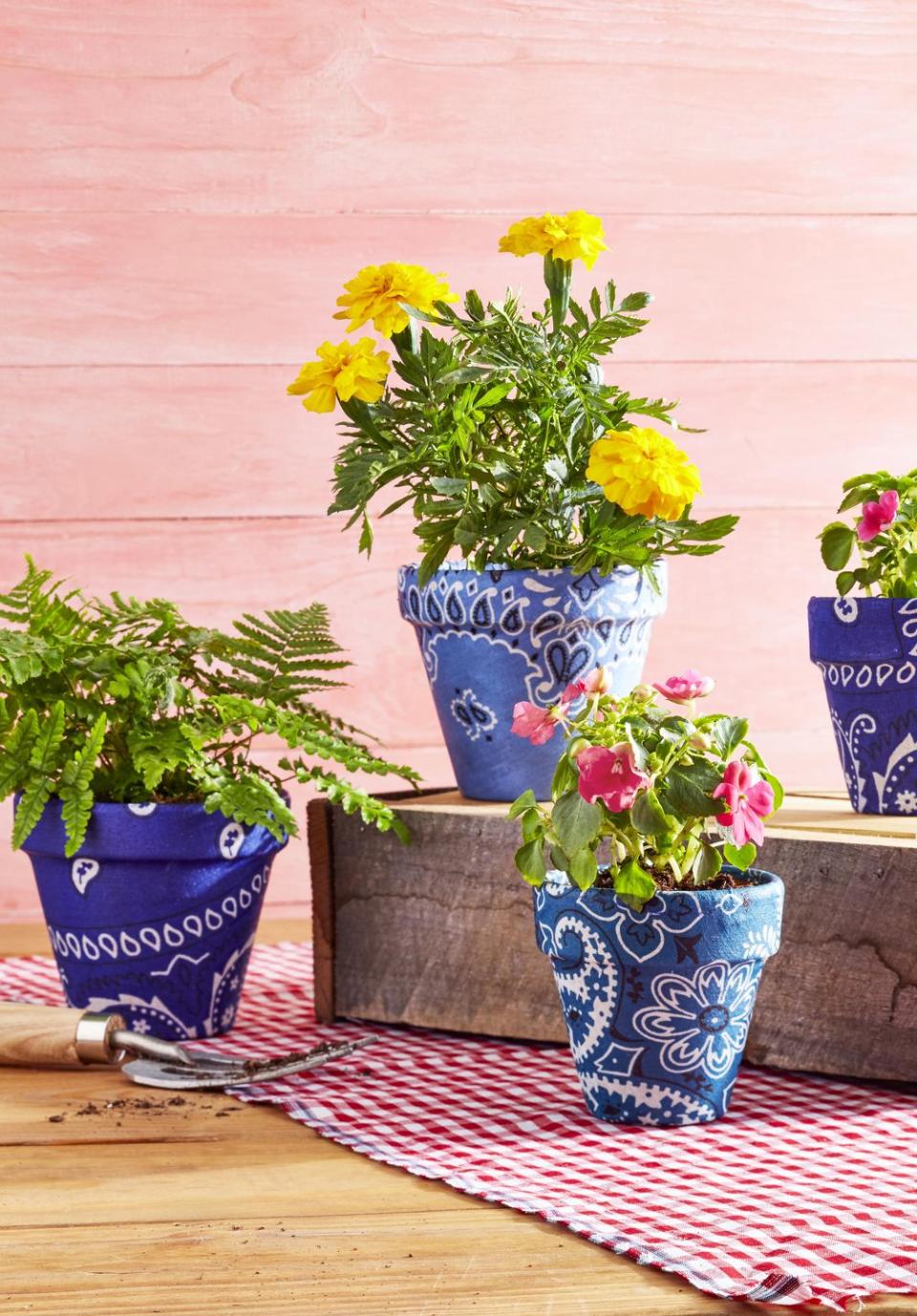 Bandana-Covered Pots