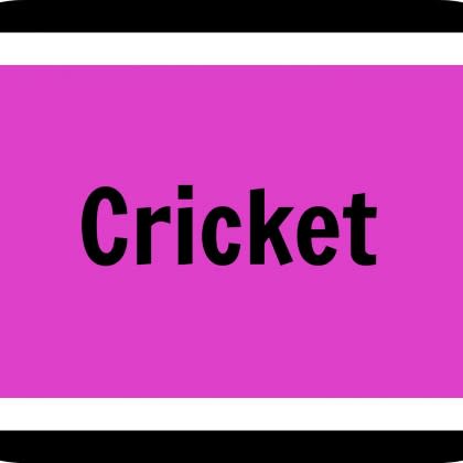 Cricket