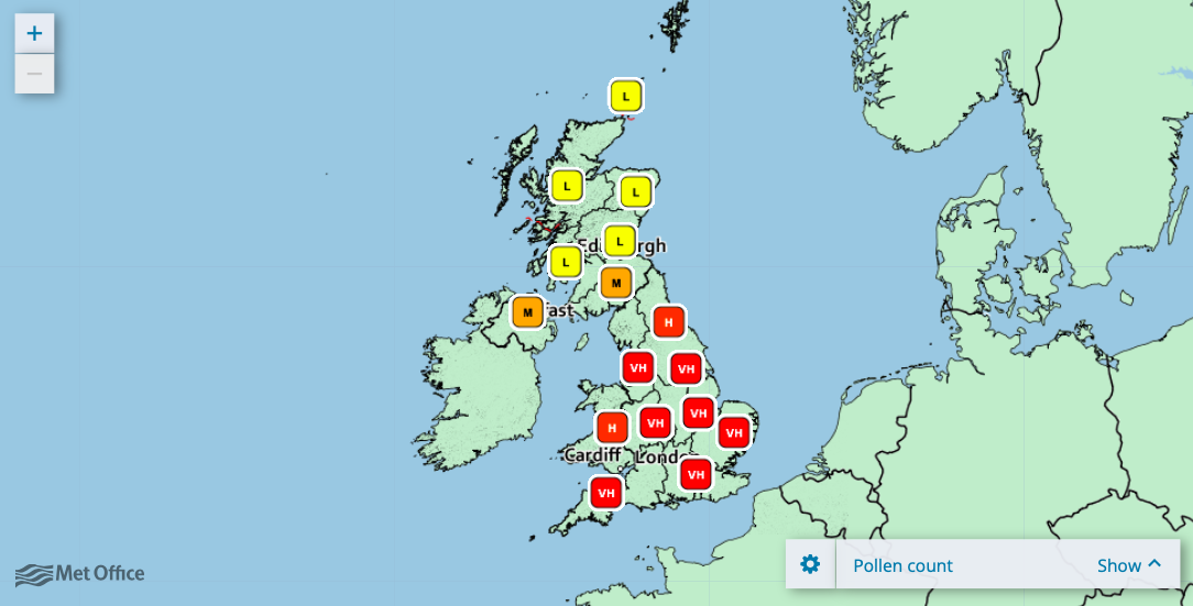 Very high pollen counts at the height of hay fever season are predicted at the same time as thundery showers. (Met Office)