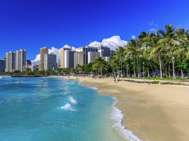 A view of Honolulu from the beach with buildings and palm trees