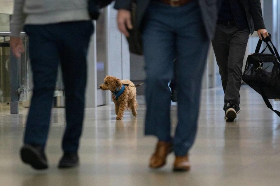 Las autoridades recomiendan comunicarse con la aerolínea antes de ir al aeropuerto. Julia Wall/jwall@newsobserver.com