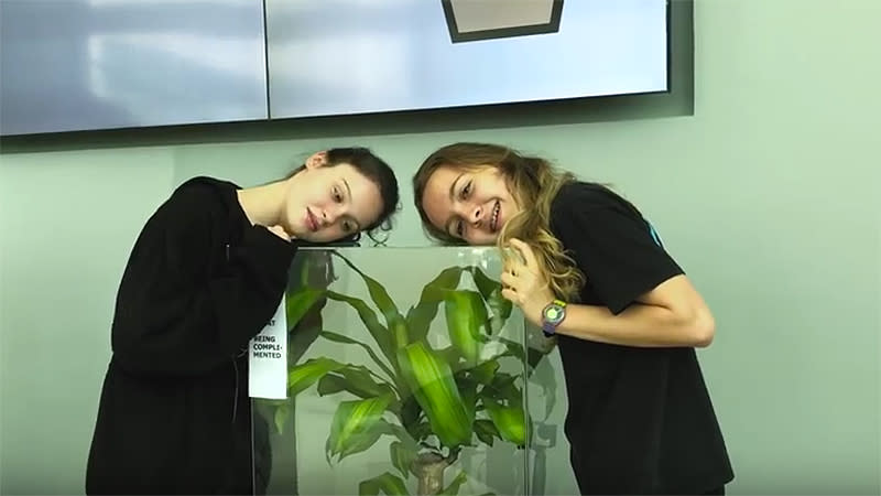 Dos niñas escuchan los mensajes emitidos a las plantas. Foto: Youtube.com/IKEA UAE