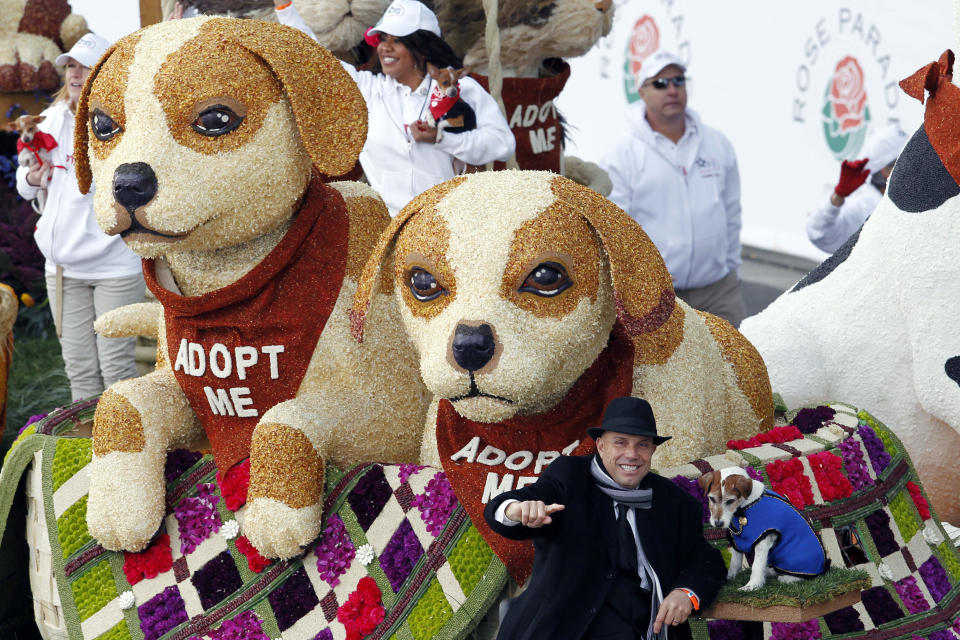 The "Follow the Stars Adopt A Pet!" float built by the Beverly Hills Pet Care Foundation, winner of the Lathrop K. Leishman trophy for the most beautiful entry from a non-commercial sponsor, appears in the 124th Rose Parade in Pasadena, Calif., Tuesday, Jan. 1, 2013. (AP Photo/Patrick T. Fallon)