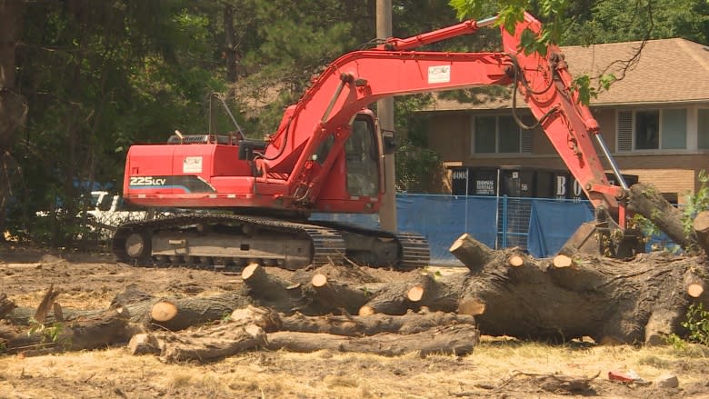 Developer made to pay for cutting down 40 mature trees