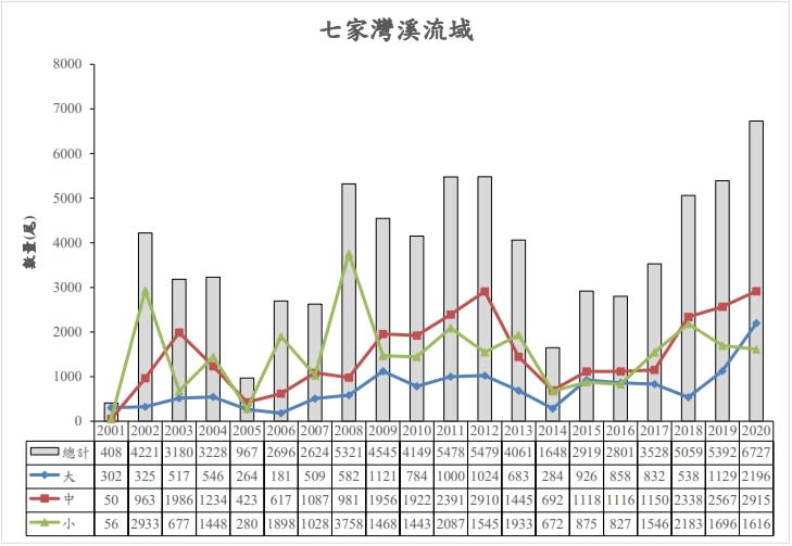 「台灣國寶魚」櫻花鉤吻鮭復育有成　野外普查12587尾創歷史新高