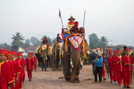 Elephants take part in a parade during Elephant Festival, which organisers say aims to raise awareness about the animals, in Sayaboury province, Laos February 18, 2017. REUTERS/Phoonsab Thevongsa