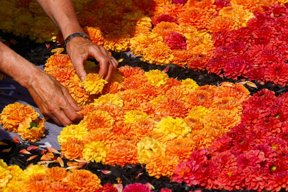 La alfombra de flores ''Art Nouveau'' en Bruselas