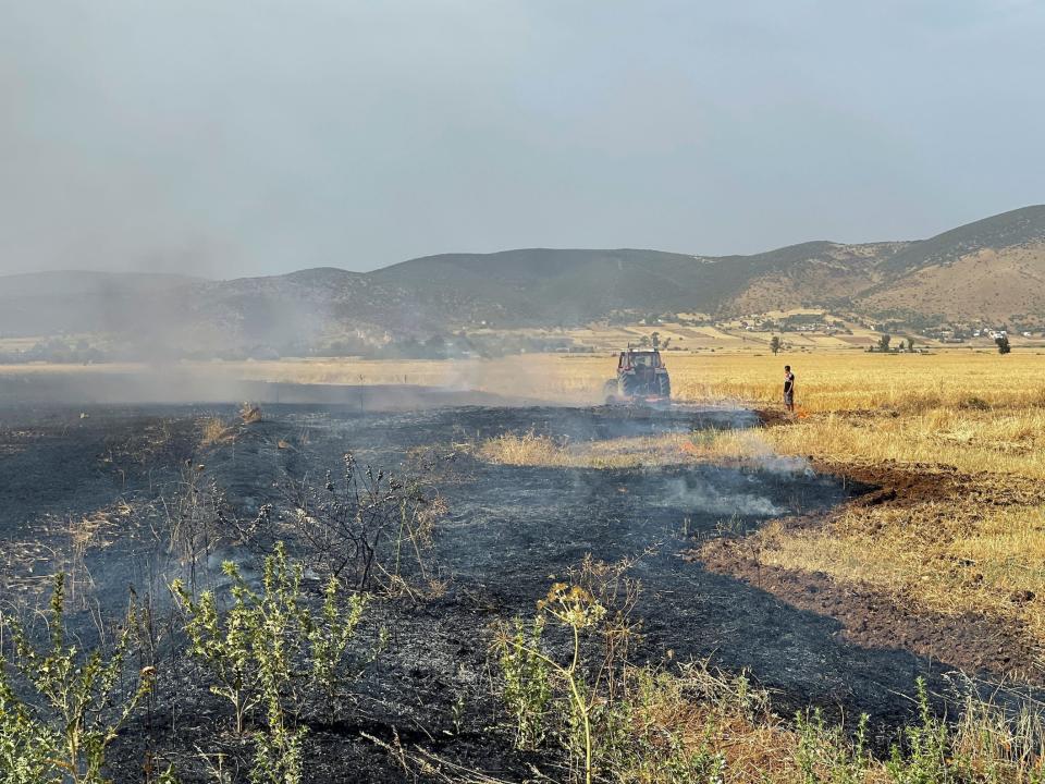 farmer stands in the distance in black charred smoking wheat field