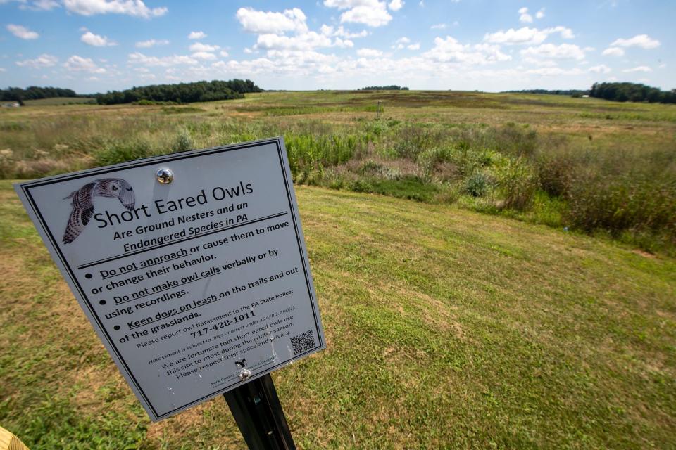 The former Superfund site in Hopewell Township is home to the endangered Short Eared Owl.
