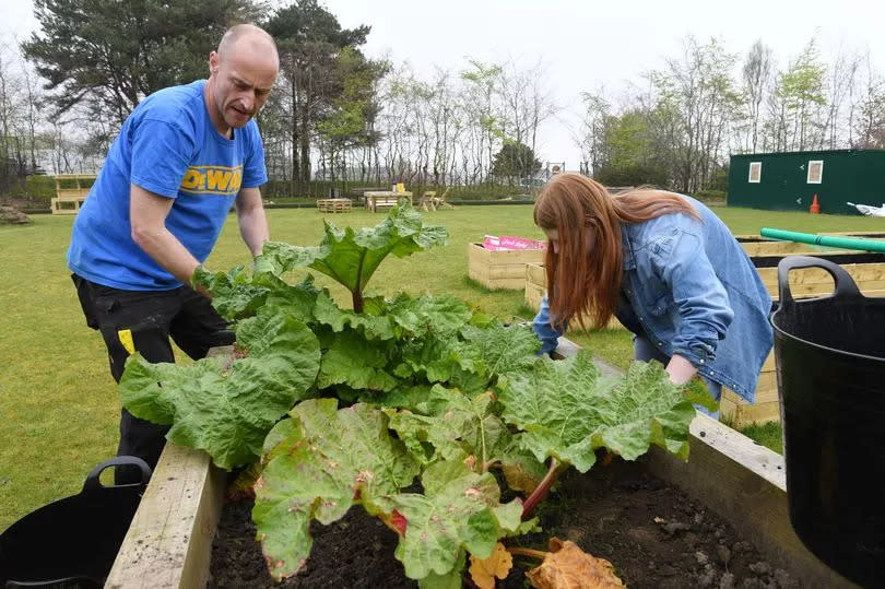Volunteers have been busy re-planting -Credit:Stuart Vance/ReachPlc