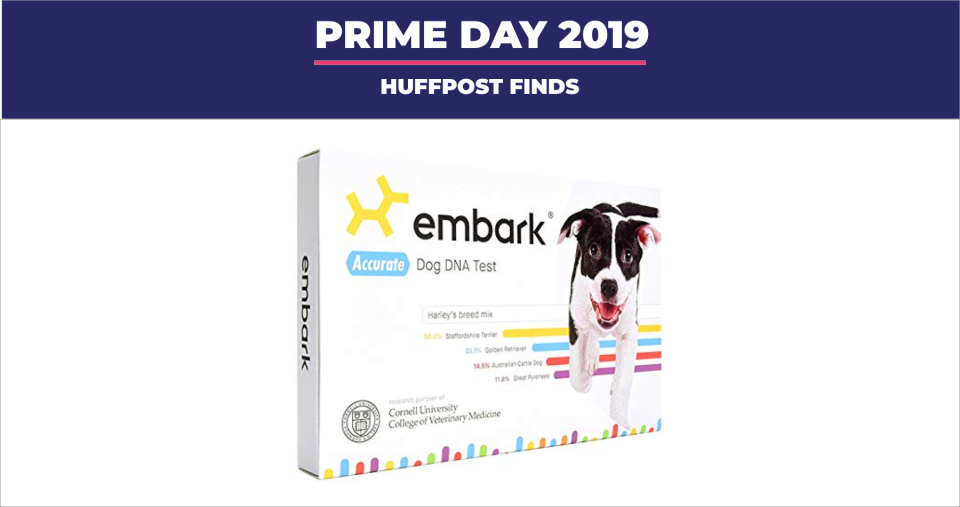 Earlier this year, we compared <strong><a href="https://amzn.to/2lJMJjL" target="_blank" rel="noopener noreferrer">two of the leading dog DNA test kits</a></strong> and dubbed the <strong><a href="https://amzn.to/2lJMJjL" target="_blank" rel="noopener noreferrer">Embark DNA</a></strong> test as our favorite for the kit&rsquo;s detailed breed information, easy-to-use DNA collection swab and fun added feature (Photo: HuffPost)