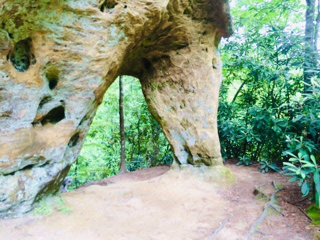 The Angel Window arch in the Red River Gorge in Kentucky.
