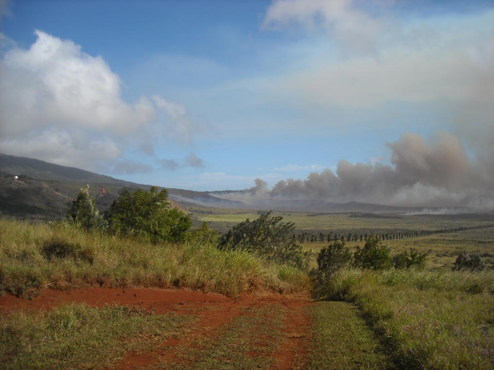 FILE - In this Nov. 18, 2008 file photo courtesy of the The Lanai Times, a brush fire burns on the island of Lanai, Hawaii. Oracle Corp. CEO Larry Ellison has reached a deal to buy 98 percent of the island of Lanai from its current owner, Hawaii Gov. Neil Abercrombie said Wednesday, June 20, 2012. (AP Photo/The Lanai Times, Sharon Owens, File)