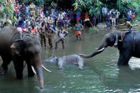 TOPSHOT - This photograph taken on May 27, 2020 shows policemen and onlookers standing on the banks of the Velliyar River in Palakkad district of Kerala state as a dead wild elephant (C), which was pregnant, is retrieved following injuries caused when locals fed the elephant a pineapple filled with firecrackers as it wondered into a village searching for food. (Photo by STR / AFP) (Photo by STR/AFP via Getty Images)