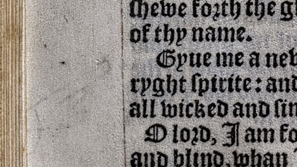 The manicules have a distinctive shape that matches others known to have been drawn by Henry. - The Trustees of The Wormsley Fund