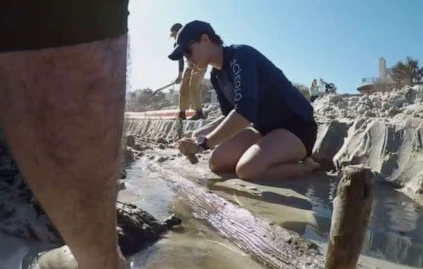 PHOTO: Archeologists said they've uncovered a 19th-century shipwreck in Daytona Beach Shores, Florida, following recent hurricanes. (WGTV)