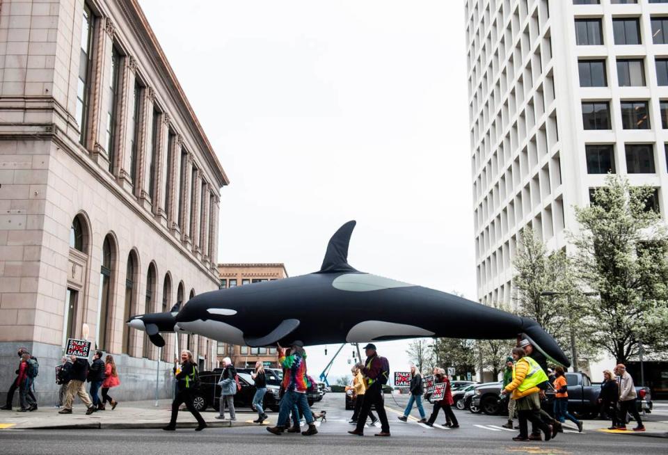 Protestors carrying an inflatable orca march in 2022 through downtown Tacoma to advocate for the removal of the Snake River dams.