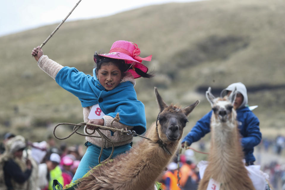 Milena Jami whips her llama to win the first place in the a race for children of ages seven and eight at the Llanganates National Park, Ecuador, Saturday, Feb. 8, 2020. Wooly llamas, an animal emblematic of the Andean mountains in South America, become the star for a day each year when Ecuadoreans dress up their prized animals for children to ride them in 500-meter races. (AP Photo/Dolores Ochoa)