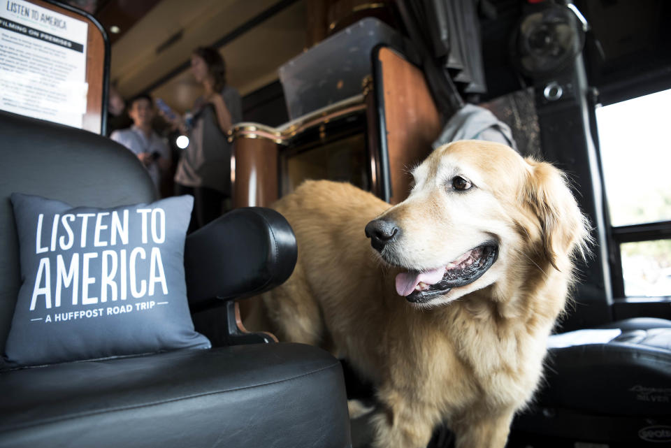 Bentley the dog visits HuffPost bus while in Oxford, Mississippi.