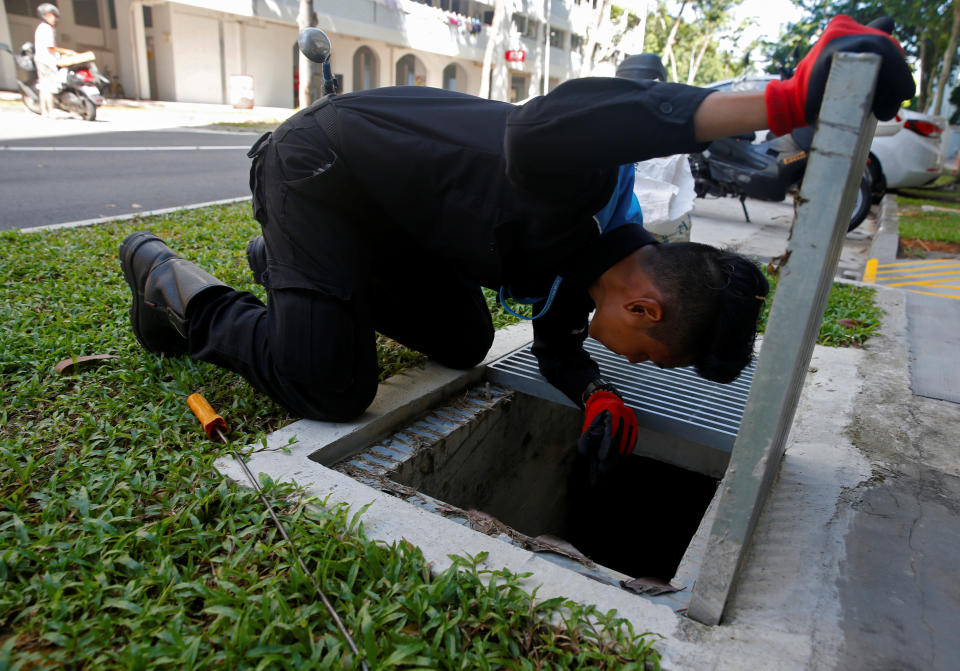 A member of a pest control team inspects drains at a Zika cluster in Singapore