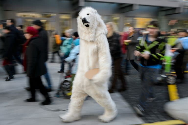 A person dressed as a polar bear walks in Geneva on November 28, 2015 during a rally ahead of the UN climate summit COP21