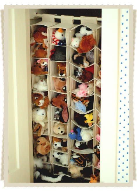 Closet Toy Organizer