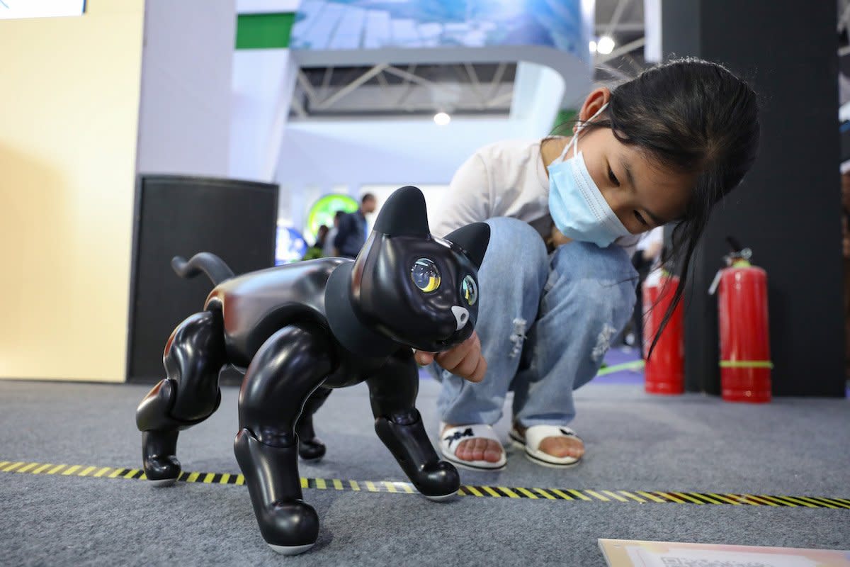 Ein Kind spielt auf der China International Big Data Industry Expo 2021 mit einem Katzenroboter