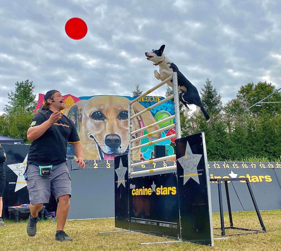 Ethan Wilhelm and Shazam! are part of The Canine Stars Stunt Dog Show show, coming to the State Theatre on Sunday.