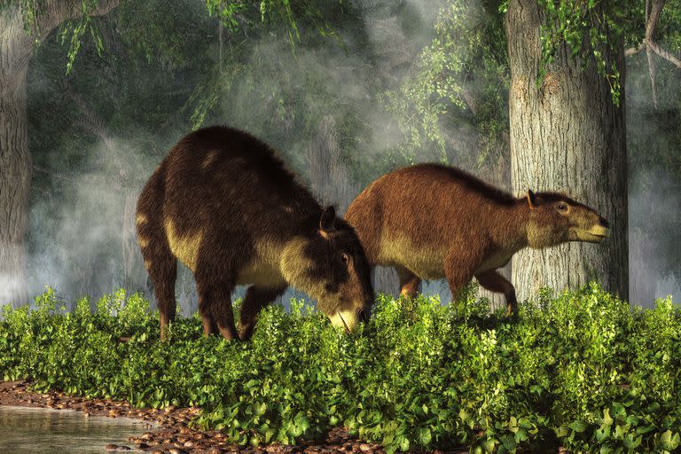 El antepasado más antiguo conocido del caballo moderno después del evento de extinción que terminó con el reinado de los dinosaurios. También conocido como hyracotherium.