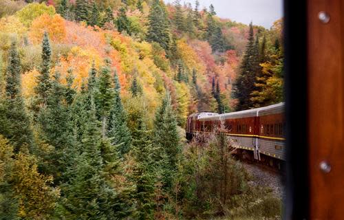 foliage-in-canada