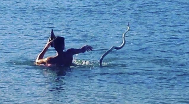 Steven Brimelow can be seen throwing Dora before the reptile swims back to him. Photo: Instagram/indy.bones/wakanphoenix