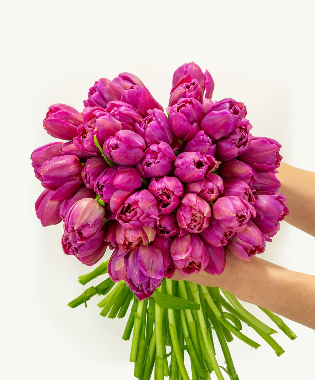 <p><a href="https://go.redirectingat.com?id=74968X1596630&url=https%3A%2F%2Fwww.bloomsybox.com%2Fp%2Fpurple-peony-tulips&sref=https%3A%2F%2Fwww.cosmopolitan.com%2Flifestyle%2Fg60469283%2Fbest-gifts-for-new-moms%2F" rel="nofollow noopener" target="_blank" data-ylk="slk:Shop Now;elm:context_link;itc:0;sec:content-canvas" class="link rapid-noclick-resp">Shop Now</a></p><p>Purple Peony Tulips</p><p>bloomsybox.com</p><p>$74.99</p>